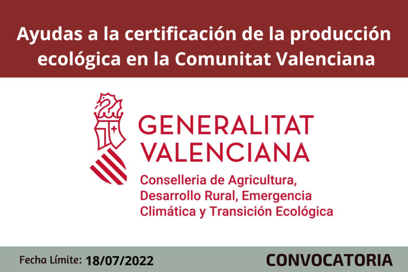 Ampliar imagen