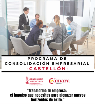 PROGRAMA DE CONSOLIDACIN EMPRESARIAL