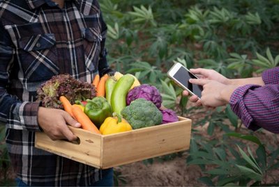 Gestin profesional para una PYME agroalimentaria de calidad diferenciada