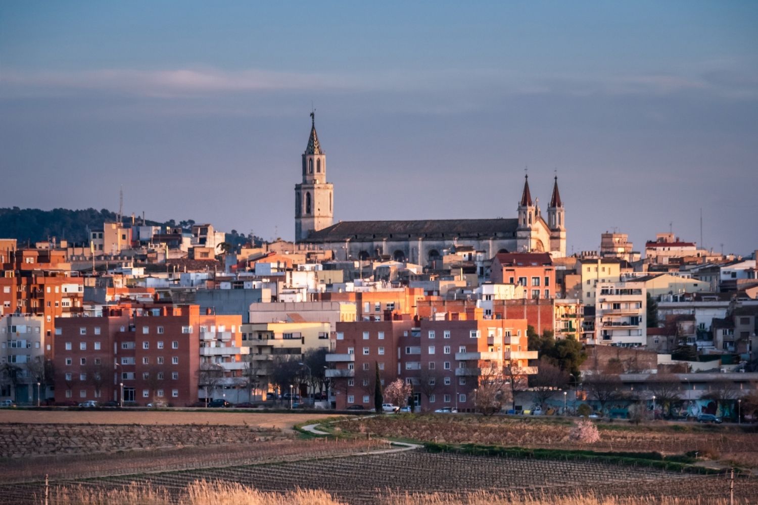 Inmobiliaria Mir� Vilafranca