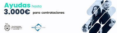 El Ayuntamiento de Elche ha aprobado las bases y la convocatoria para la concesi�n de las Ayudas Elx Emplea 2025