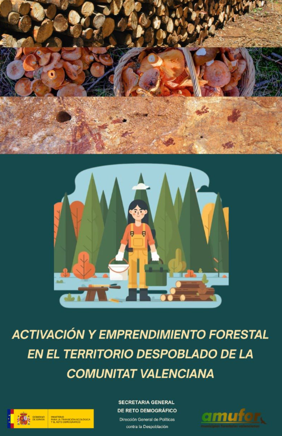 Curso AMUFOR
