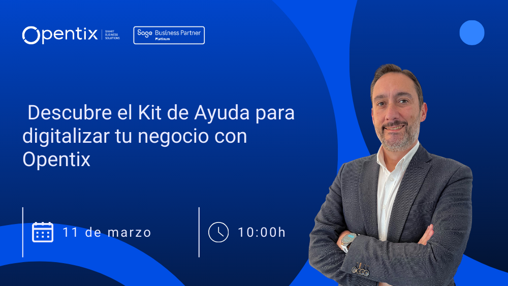 ayudas kit digital