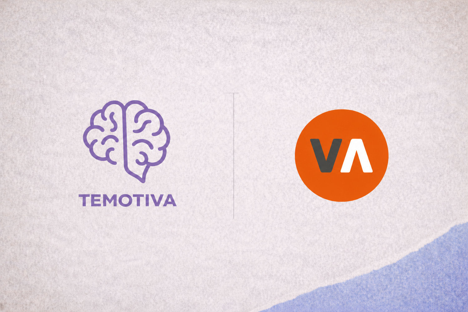 Crecer desde dentro para llegar más lejos: la experiencia de Temotiva en Tetuan Valley