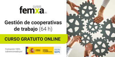 Cooperativas de trabajo: herramientas para una gesti�n eficaz y participativa
