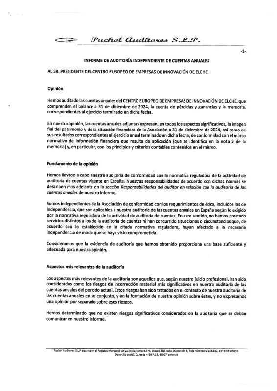 Cuentas anuales e informe de auditorías CEEI Elche 2025