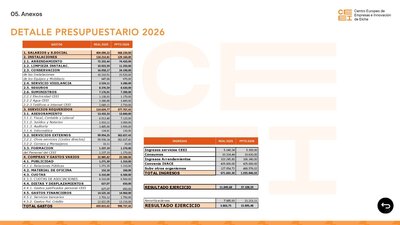 Presupuesto CEEI Elche 2026