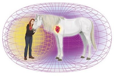 Coaching con Caballos