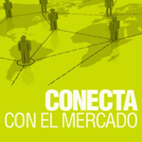 conecta icex