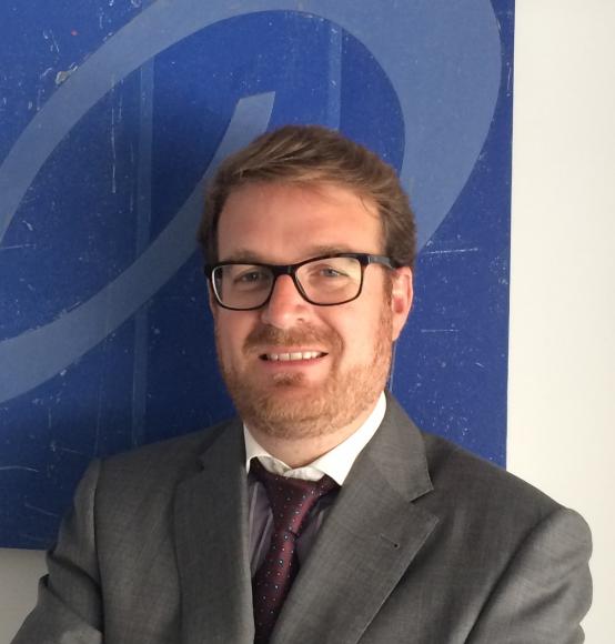 Ampliar imagen