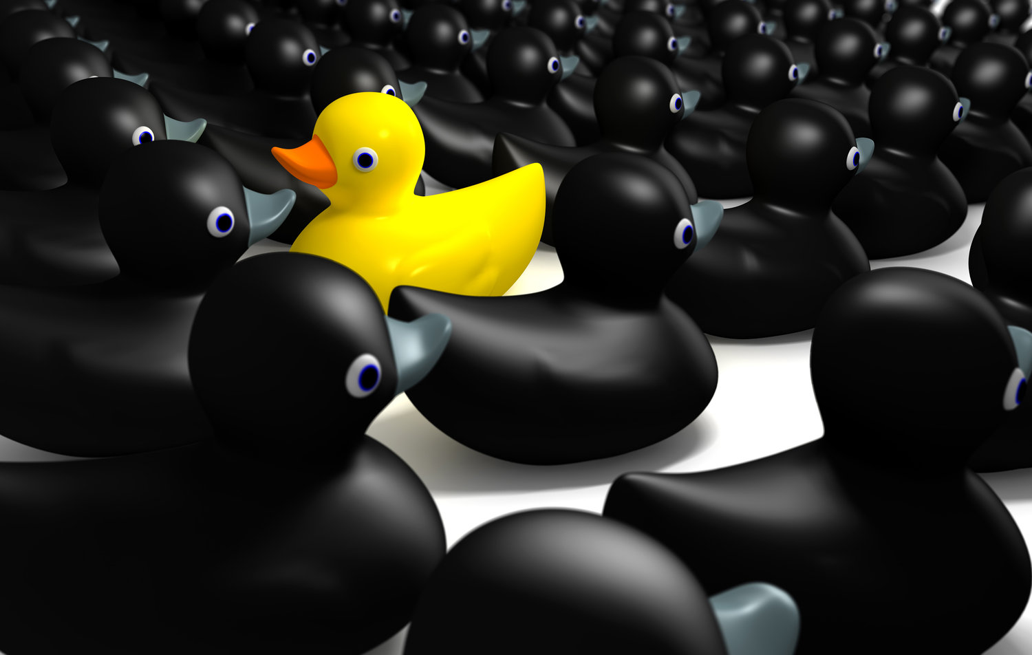 Emprenedor, no em digues que no tens compet�ncia
