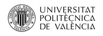 Mster en Innovacin e Internacionalizacin de la Universitat Politcnica de Valncia