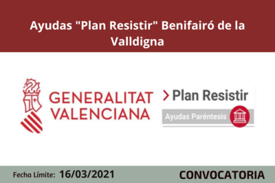 Bases de la convocatoria