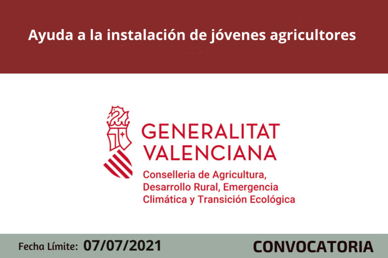 Ampliar imagen